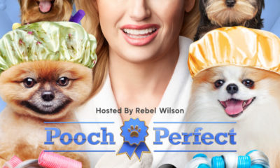 Pooch Perfect season 1