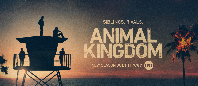 Animal Kingdom Season 5: Release Date, Trailer, Cast and More Updates! -  DroidJournal