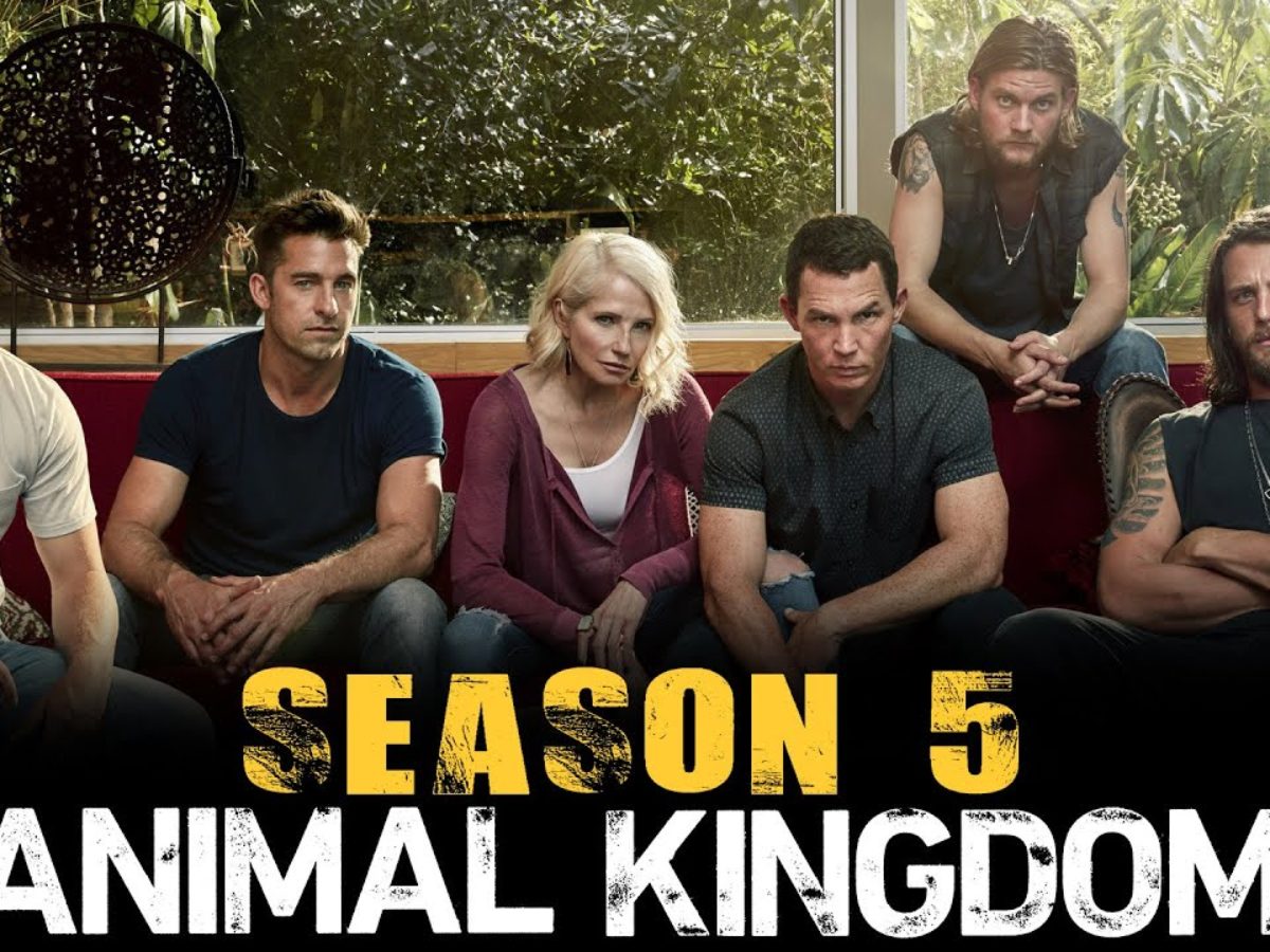 Animal Kingdom Season 5: Release Date, Details, Trailer, and More! -  DroidJournal