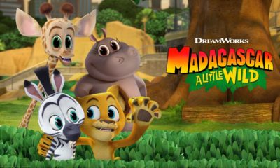 Madagascar A Little Wild