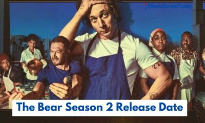 NEWSThe Bear Season 2