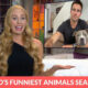 Worlds-Funniest-Animals-Season-3